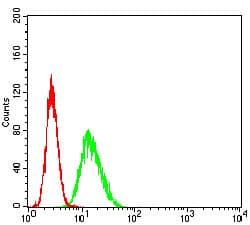 Monoclonal Mouse anti-Human ATP2A1 / SERCA1 Antibody (clone 3D1H6, WB)