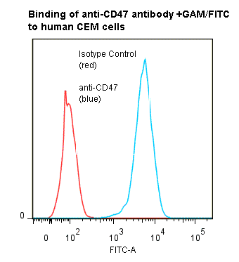 CD47 Antibody (clone ANC2F6)