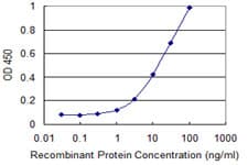 WWTR1 / TAZ Antibody (clone 1F1)