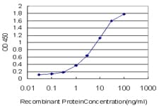 Monoclonal Mouse anti-Human MSH5 Antibody (clone 1C11, IF, WB)