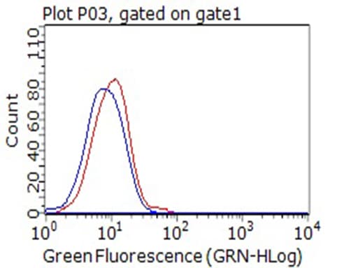 CD80 Antibody (clone OTI7D6)