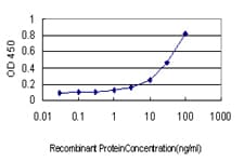 SALL4 Antibody (clone 6E3)