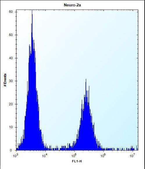 DCBLD2 Antibody (aa538-567)