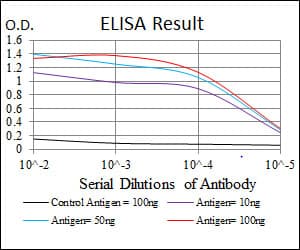 NQO1 Antibody (clone 4D12)
