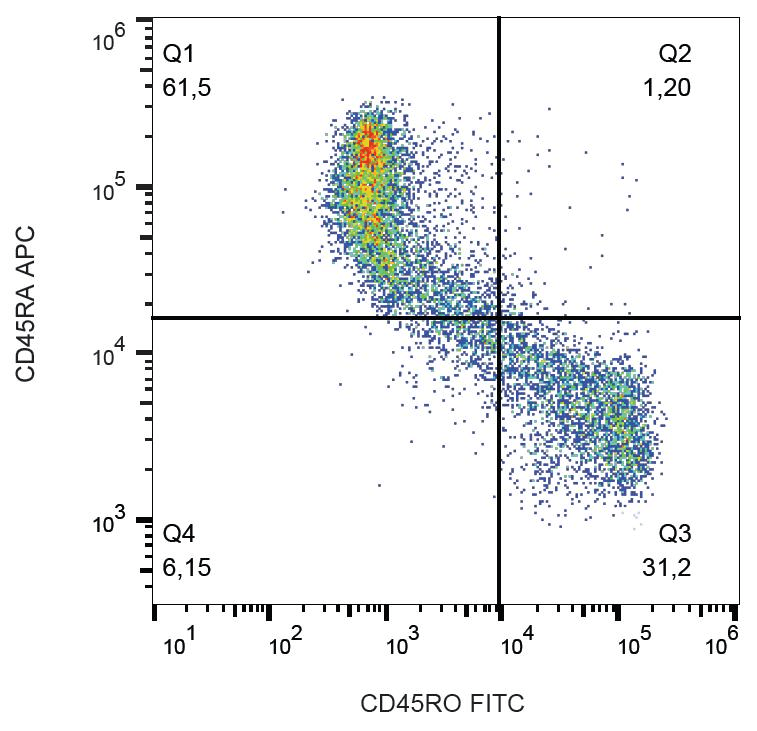 CD45RO Antibody (clone UCHL1, FITC)