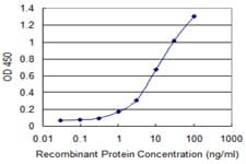 IHC-plus™ Monoclonal Mouse anti-Human PIK3C2A Antibody (clone 3E7, IHC, WB)