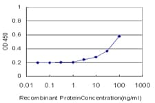 RPS6 / Ribosomal Protein S6 Antibody (clone 3H1-F2)
