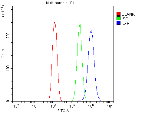 Polyclonal Rabbit anti-Human IL7R / CD127 Antibody (WB)