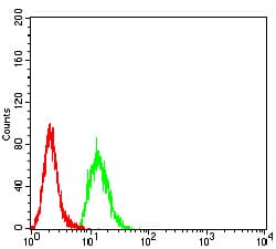 KDM3A / JMJD1A Antibody (clone 3G10C2)