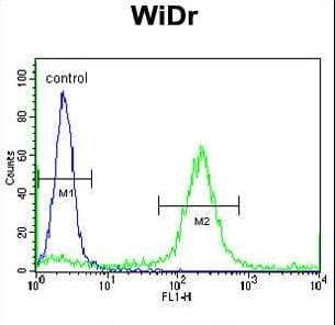 ADAMDEC1 Antibody (aa39-69)