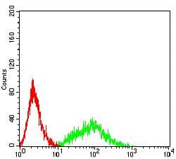 THBD / CD141 / Thrombomodulin Antibody (clone 2C6C3)