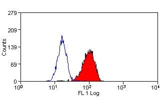 Cytochrome B245 Heavy Chain Antibody (clone NL7)