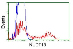 NUDT18 Antibody (clone OTI1B4, Carrier-free)