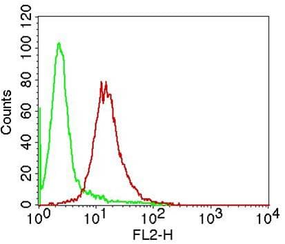 APIP Antibody