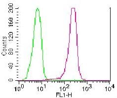 TNFRSF10A / DR4 Antibody (FITC)