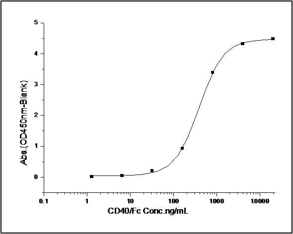 Human CD40L Protein (Recombinant His,C-terminus)