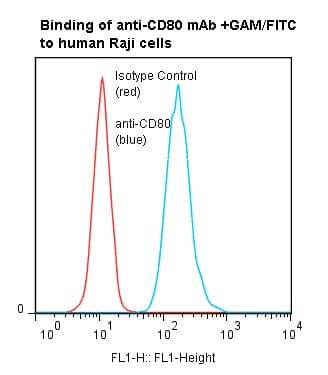 Monoclonal Mouse anti-Human CD80 Antibody (clone P1.H5.A1.A1)