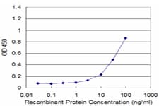 Monoclonal Mouse anti-Human PGK1 / Phosphoglycerate Kinase Antibody (clone 2H4, WB)