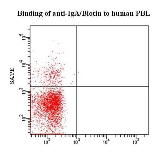 Mouse Anti-Human IgA Secondary Antibody (clone Hisa43, Biotin)
