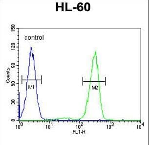 AFTPH Antibody (aa844-871)