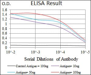 MRPL42 / MRPS32 Antibody (aa142-203, clone 3H6G11)