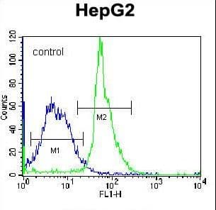 KRTAP1-3 Antibody (aa88-117)