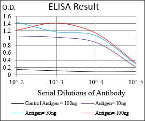 PAPLN Antibody (aa766-870, clone 5B2E5)