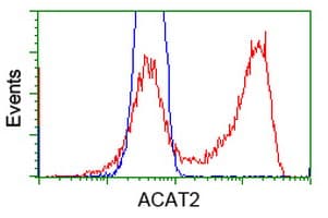 ACAT2 Antibody (clone OTI1C5)