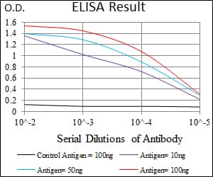 Monoclonal Mouse anti-Human WDR66 Antibody (clone 2A6F7, aa1-250, WB)