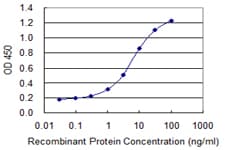 MAP4 Antibody (clone 7C9)