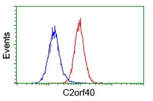Monoclonal Mouse anti-Human C2orf40 / ECRG4 Antibody (clone OTI1F6, WB)