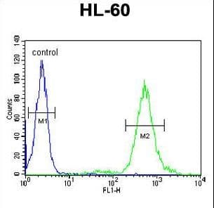 KIAA0922 Antibody (aa1266-1295)