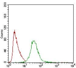 PON1 / ESA Antibody (aa1-200, clone 4G8D3)