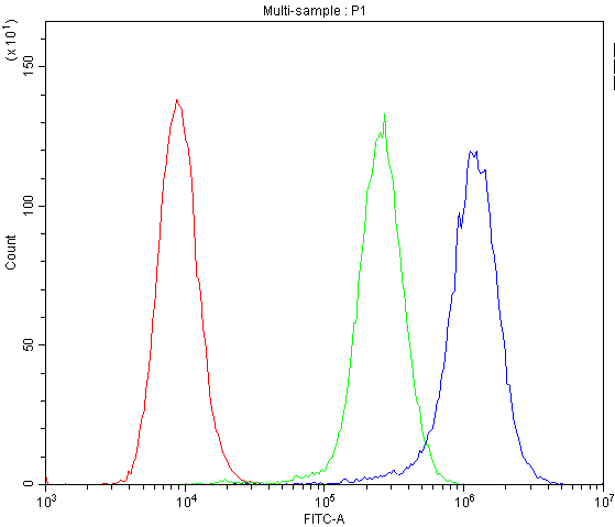 ICOS / CD278 Antibody