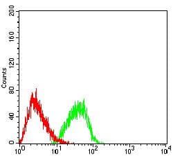 Monoclonal Mouse anti-Human EHMT2 / G9A Antibody (clone 2D12A11, IHC, WB)