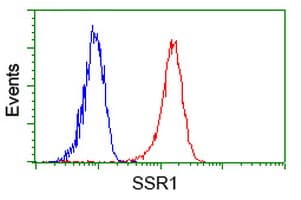 SSR1 Antibody (clone OTI 1B10)