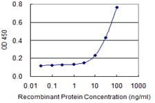 MUC5AC Antibody (clone 2A4)