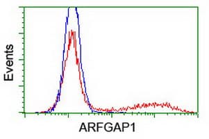 ARFGAP1 Antibody (clone OTI 2C10)
