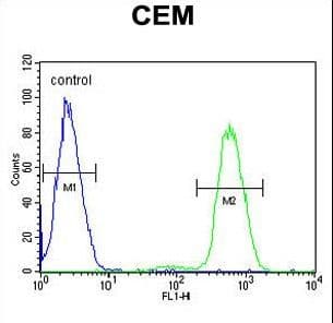 NFKBIL1 Antibody (aa256-285)