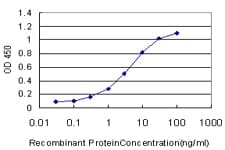 IHC-plus™ Monoclonal Mouse anti-Human SP1 Antibody (clone 4C8, IHC, IF, WB)