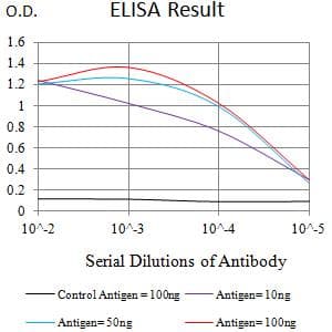 LRP6 Antibody (clone 1A3F5)