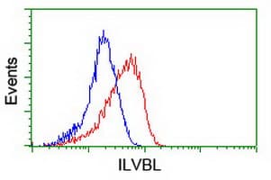 ILVBL Antibody (clone OTI8A12)