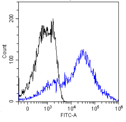 Recombinant Monoclonal Rabbit anti-Human EMA / MUC1 Antibody (clone HMFG2, MUC1, IHC)