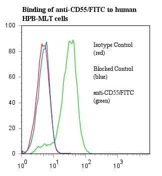 CD55 Antibody (clone 67, FITC)