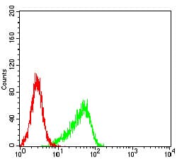 AURKA / Aurora-A Antibody (aa268-404, clone 2D8A4)
