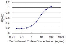 Monoclonal Mouse anti-Human ISCA1 Antibody (clone 1A11, WB)
