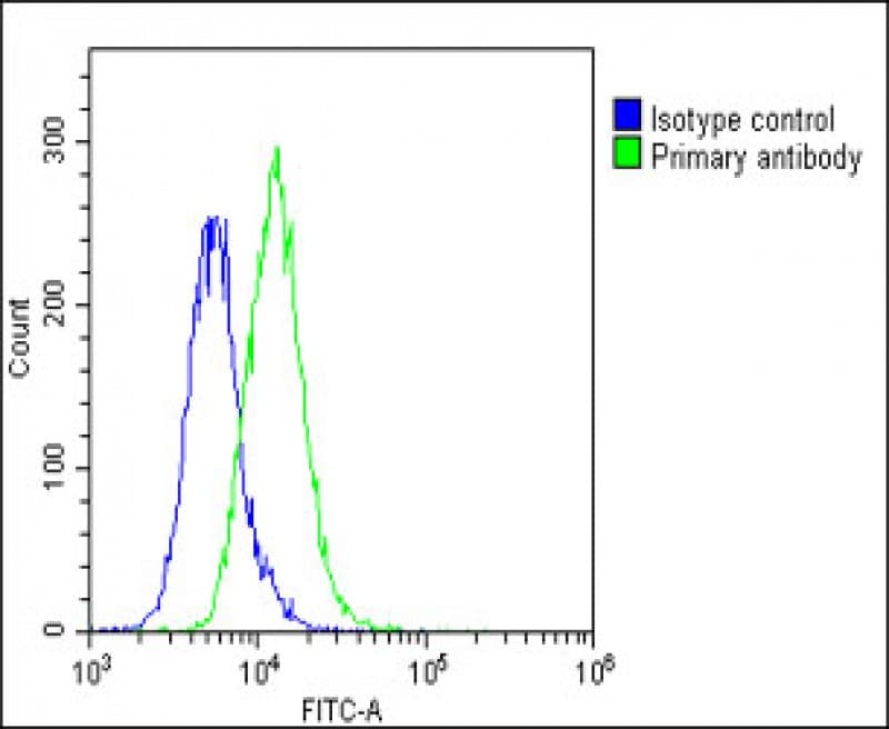 CKS2 Antibody (C-Terminus)
