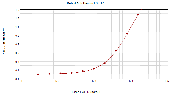 Polyclonal Rabbit anti-Human FGF17 Antibody (WB)