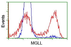 MGLL / Monoacylglycerol Lipase Antibody (clone OTI2C9, Carrier-free)