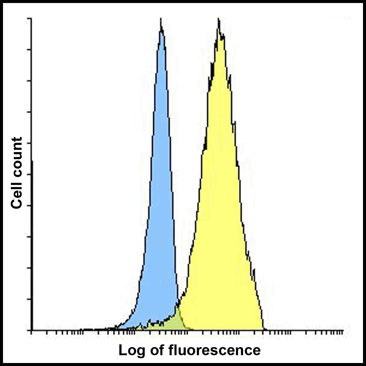 IHC-plus™ Monoclonal Mouse anti-Human PD-L2 / PDCD1LG2 / CD273 Antibody (clone 7C7, IHC, IF, WB)